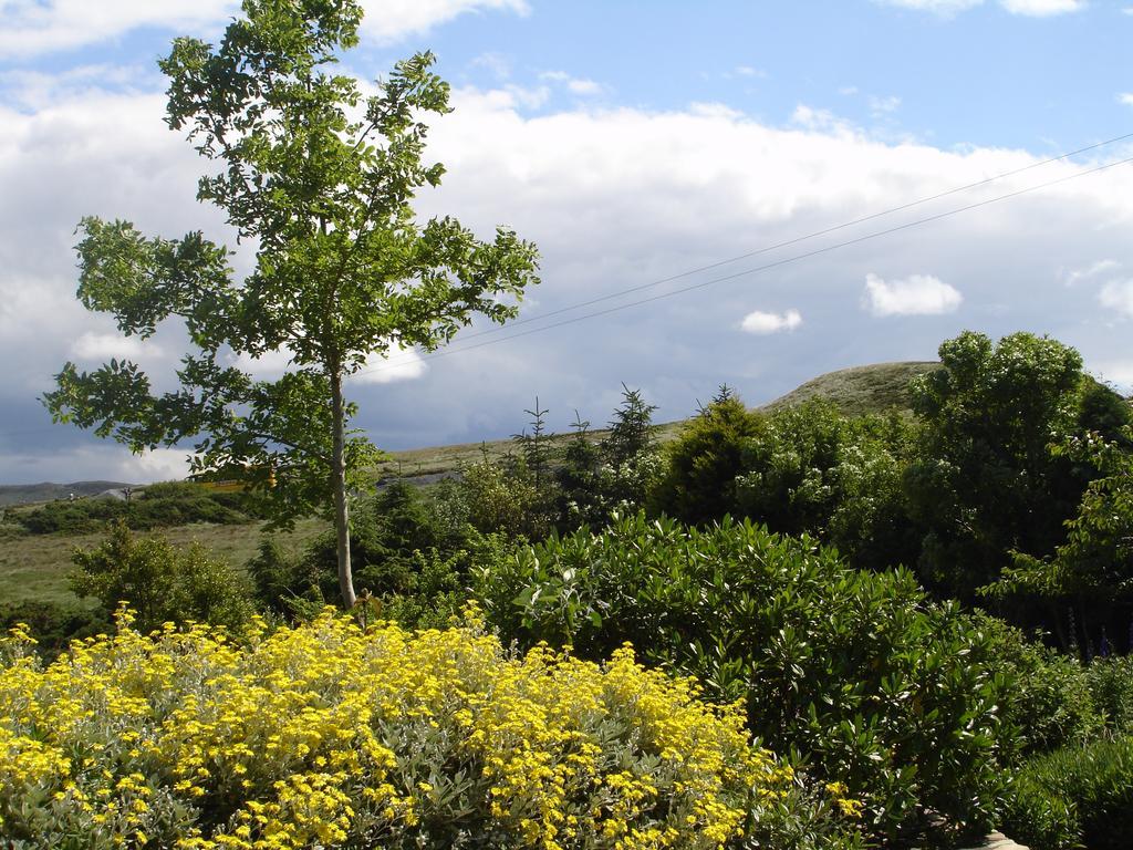 Ben Breen House B&B Clifden Exterior photo